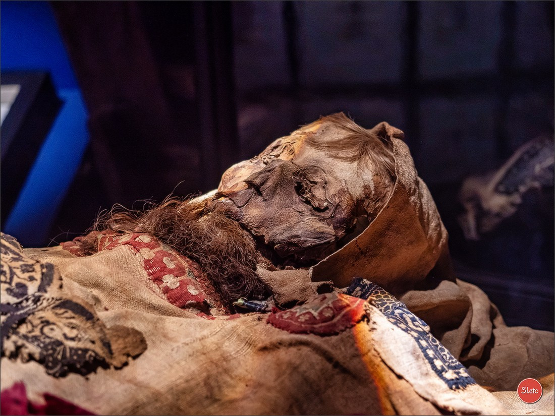 Chateauroux 🇫🇷. Photographe à Strasbourg | Portraits, Studio, Enfants, Événements