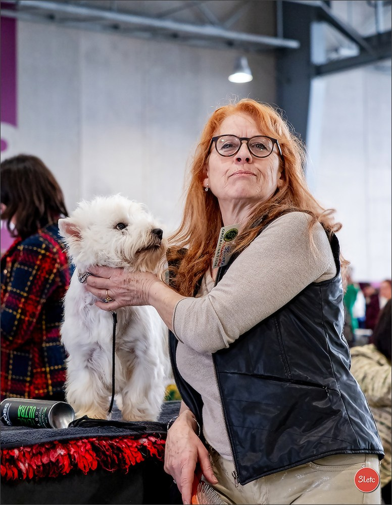🇫🇷  Chalons en Champagne  🇫🇷  Expo canine  31/01-01/02/2026. Photographe à Strasbourg | Portraits, Studio, Enfants, Événements
