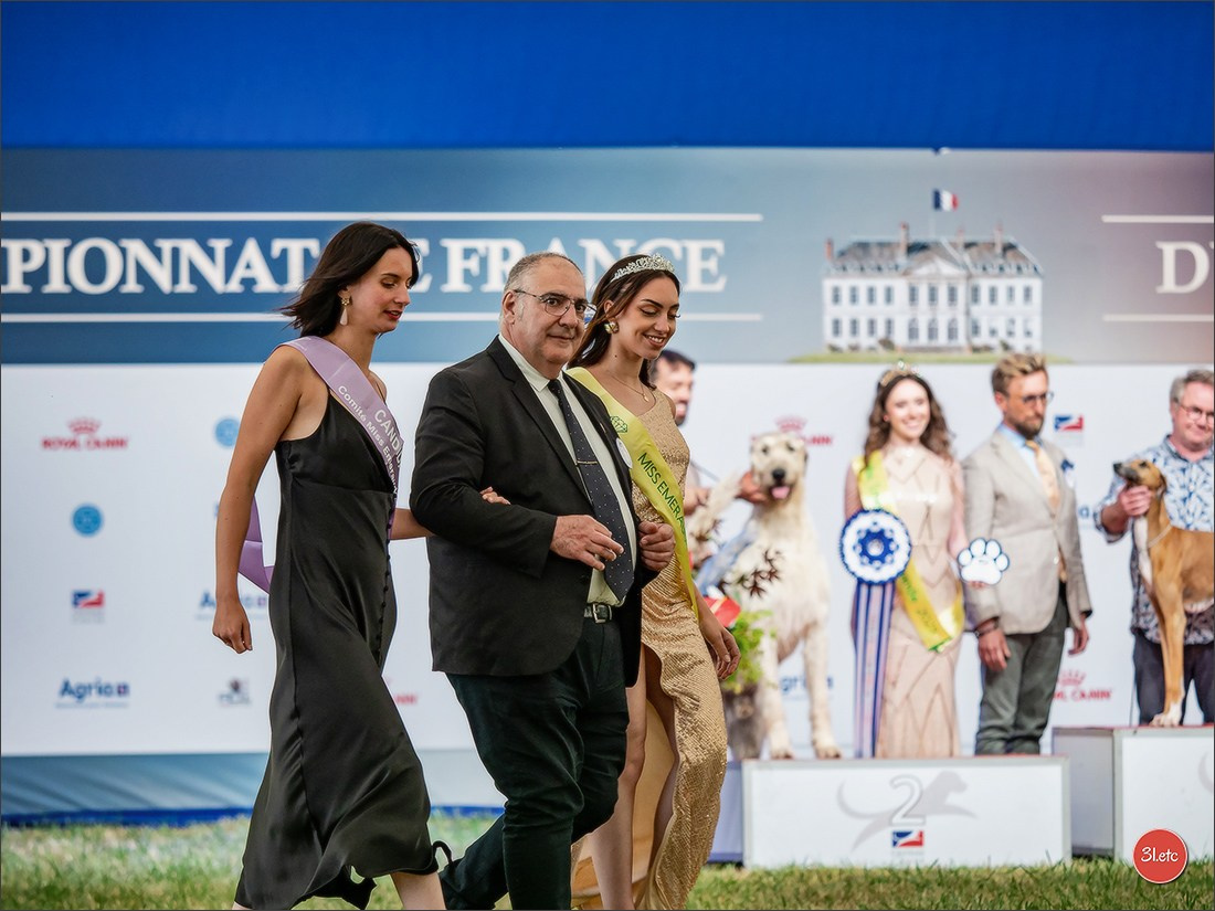 Championnat de France du chien de race  🇫🇷  DIJON (château de Brognon) 7-8/06/2025. Photographe à Strasbourg | Portraits, Studio, Enfants, Événements