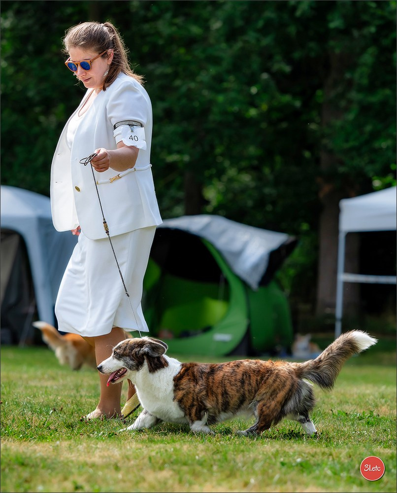 🇫🇷 Romorantin - Exposition Canine Nationale. Photographe à Strasbourg | Portraits, Studio, Enfants, Événements
