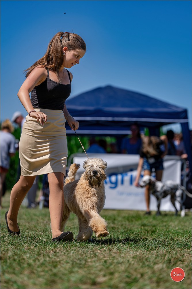 Dog Show - Hallbergmoos 🇩🇪 11-12/07/2026
