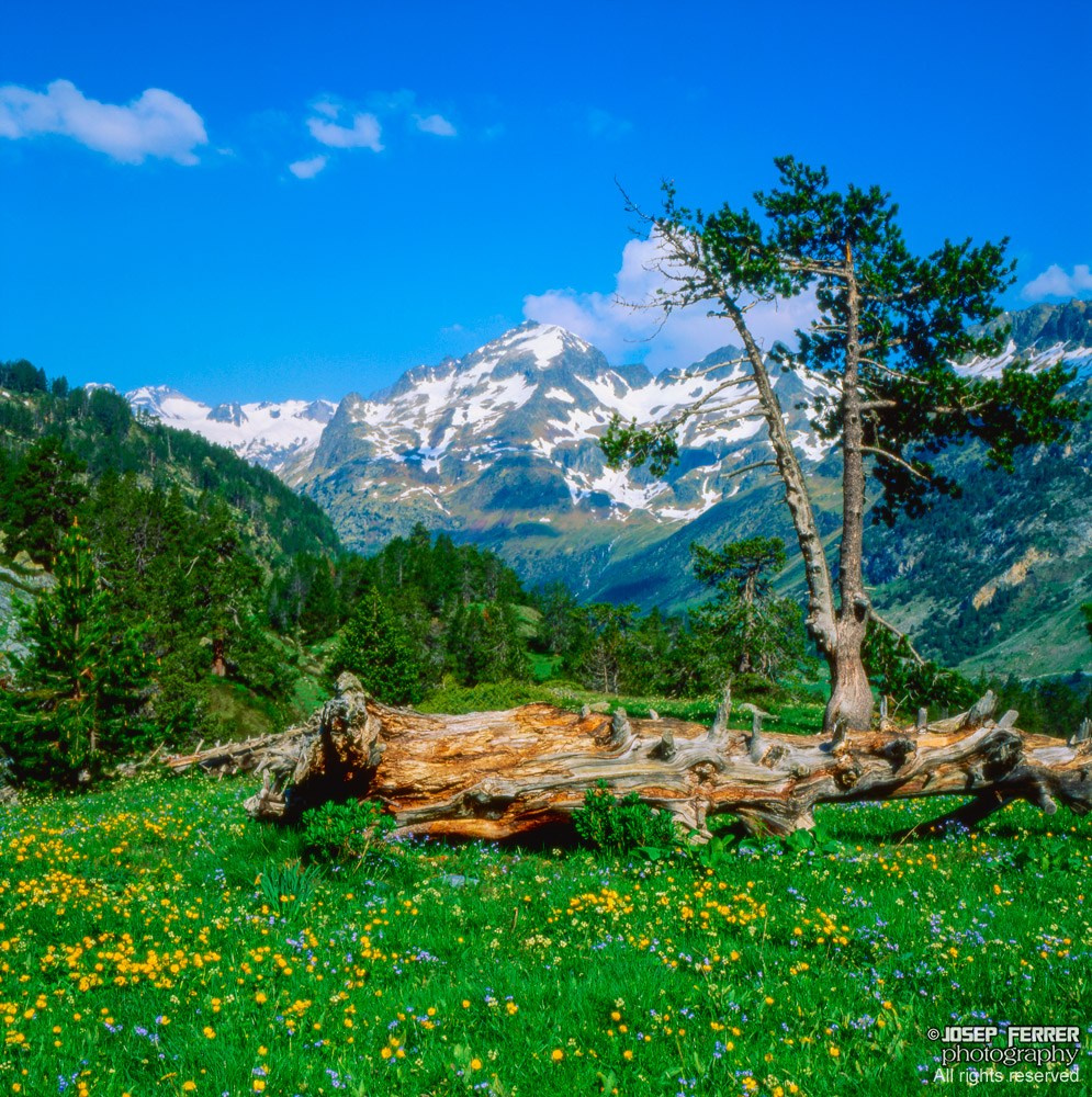Valle de Benasque, Pyrenees, Huesca