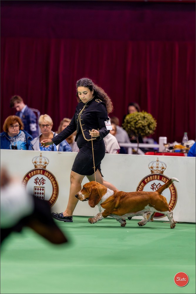 Expo canine 🇲🇨 Monaco 9-10/05/2026. Photographe à Strasbourg | Les animaux, Portraits, Studio, Événements