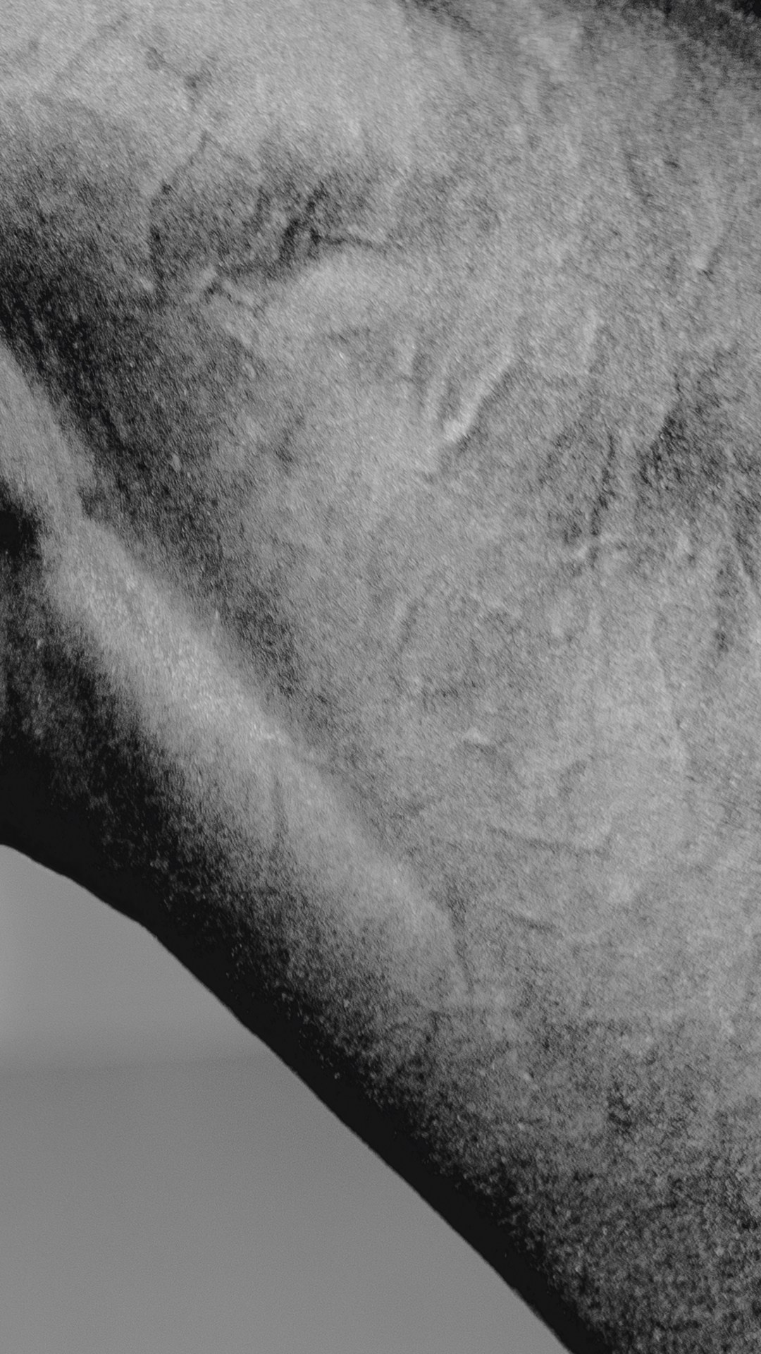 Doha Tour 2024 🐎. Regina Turbin — official website