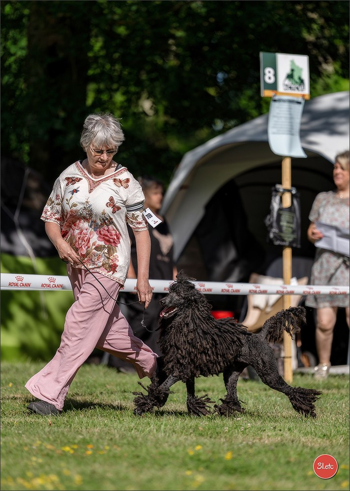 🇫🇷  CHARTRES  🇫🇷  2026  🇫🇷  Exposition Canine Nationale - Château des Boulard