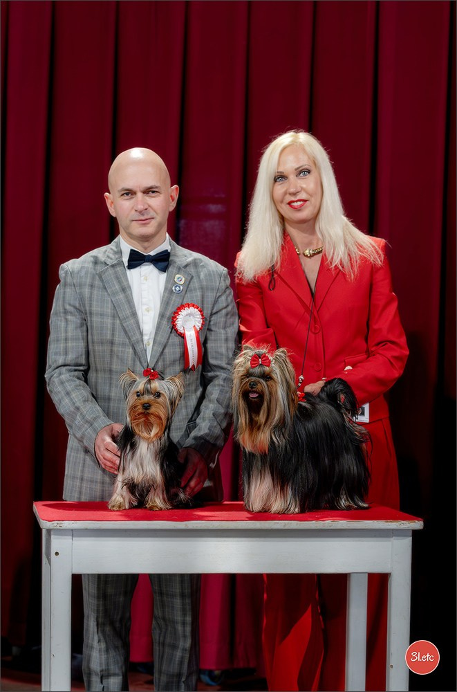 Expo canine 🇲🇨 Monaco 9-10/05/2026. Photographe à Strasbourg | Les animaux, Portraits, Studio, Événements