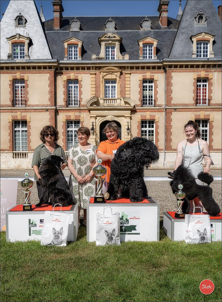 🇫🇷  CHARTRES  🇫🇷  2026  🇫🇷  Exposition Canine Nationale - Château des Boulard