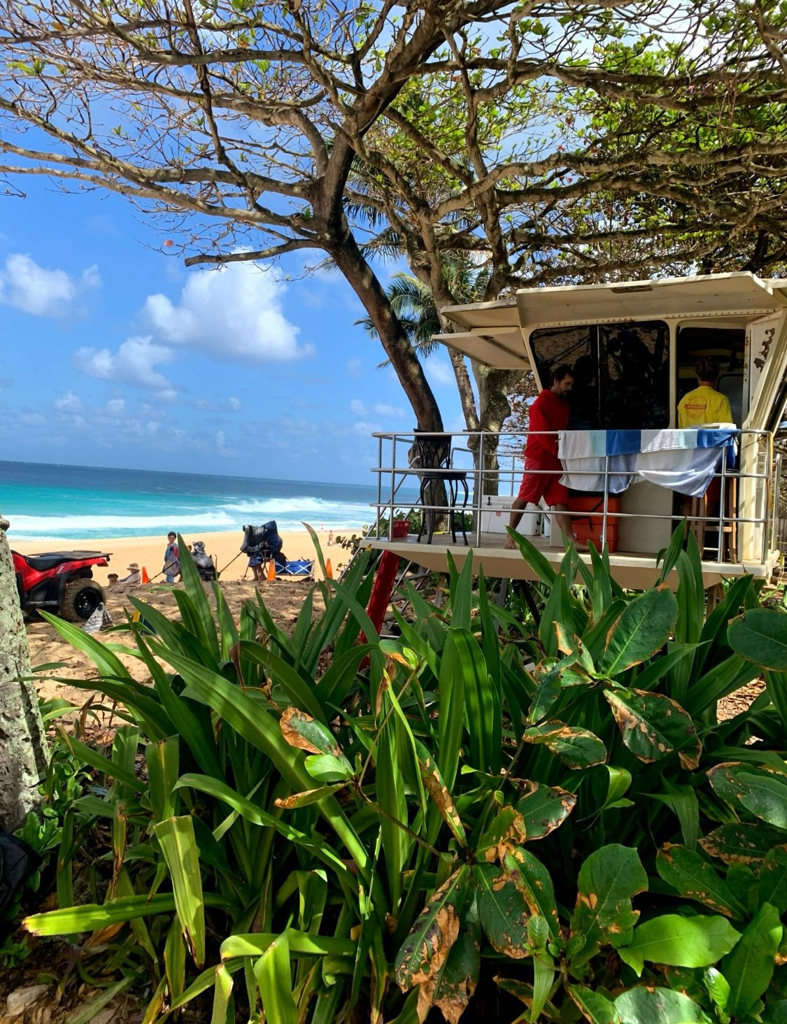 Lens Work From The Field 7