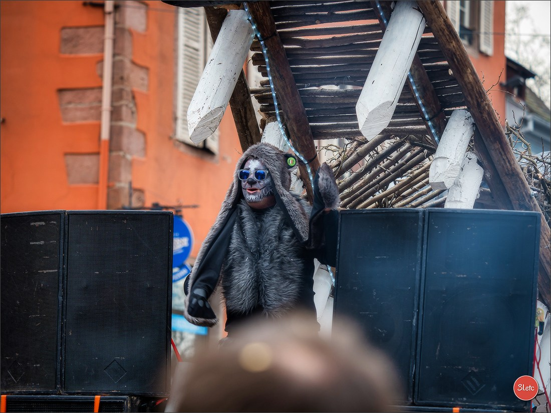 Traditional February carnival. Music, dancing, costume performances. C. Photographe à Strasbourg | Portraits, Studio, Enfants, Événements