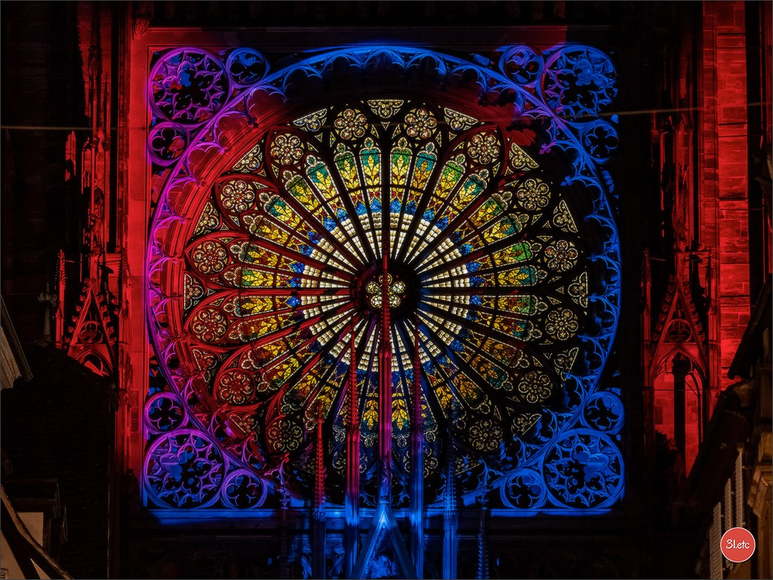La mise en lumière de la Cathédrale de Strasbourg, du 5 juillet au 8 s. Photographe à Strasbourg | Portraits, Studio, Enfants, Événements