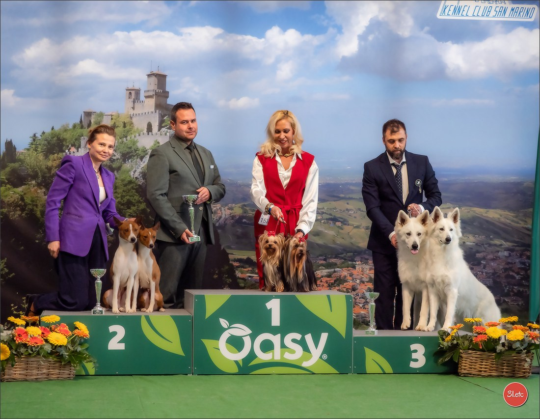 Dog Show  🇮🇹  San Marino. Photographe à Strasbourg | Portraits, Studio, Enfants, Événements