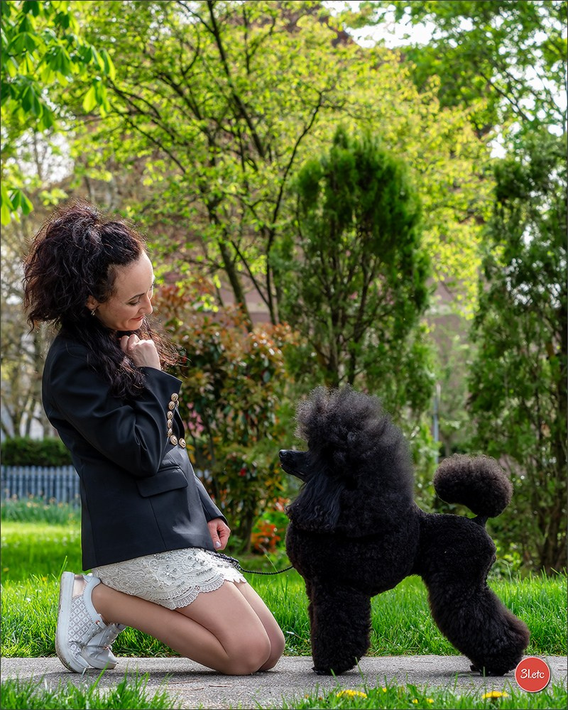 Photographie animalière. Photographe à Strasbourg | Portraits, Studio, Enfants, Événements