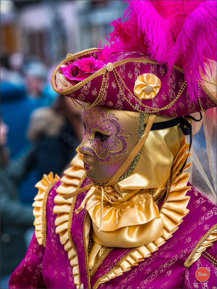 Carnaval venitien de Rosheim 2024. Photographe à Strasbourg | Portraits, Studio, Enfants, Événements