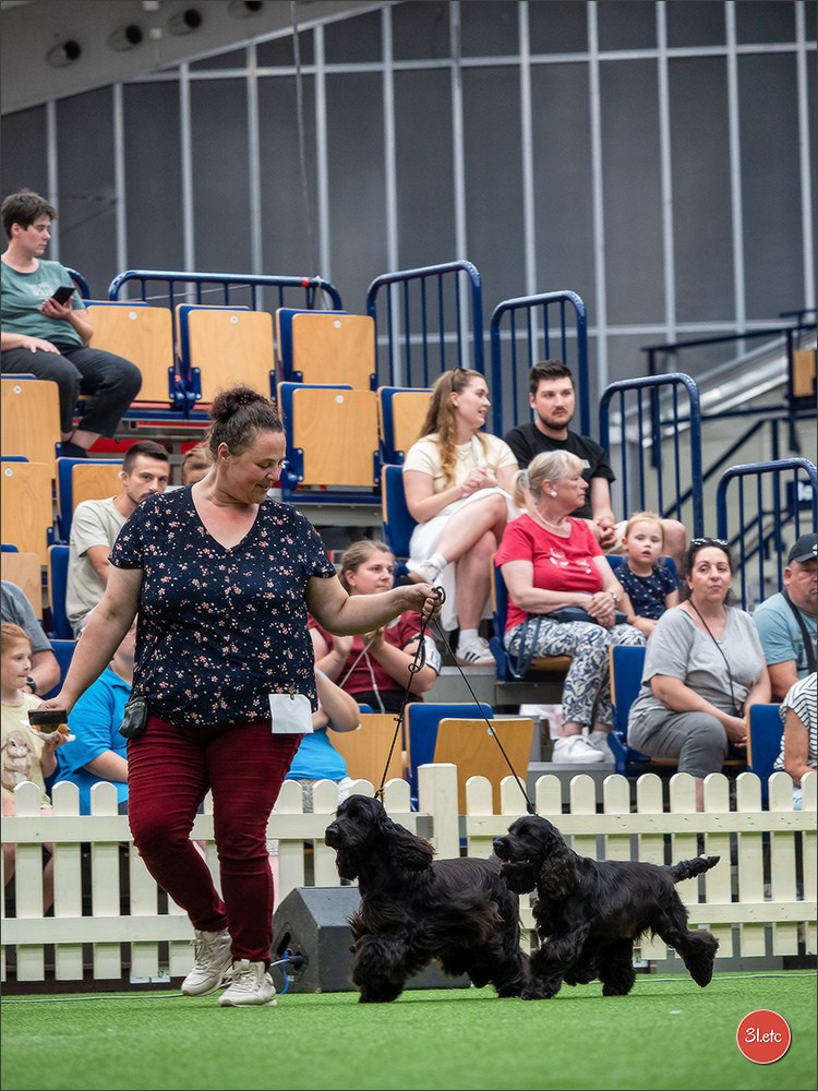 Dog Show Ludwigshafen  🇩🇪  16-17/08/2025. Photographe à Strasbourg | Portraits, Studio, Enfants, Événements