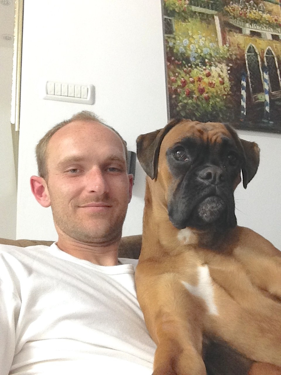 My ״Star״ Boxer Dog