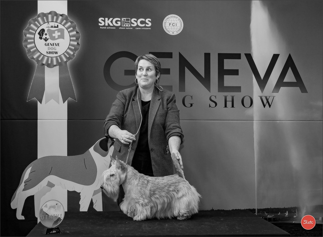 Photographie animalière. Photographe à Strasbourg | Portraits, Studio, Enfants, Événements