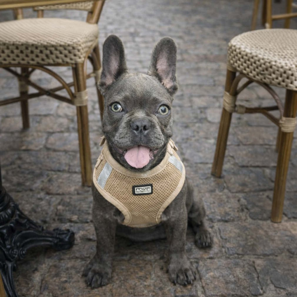 Über mich – Alex Fetter | Hochzeitsfotograf aus Sigmaringen