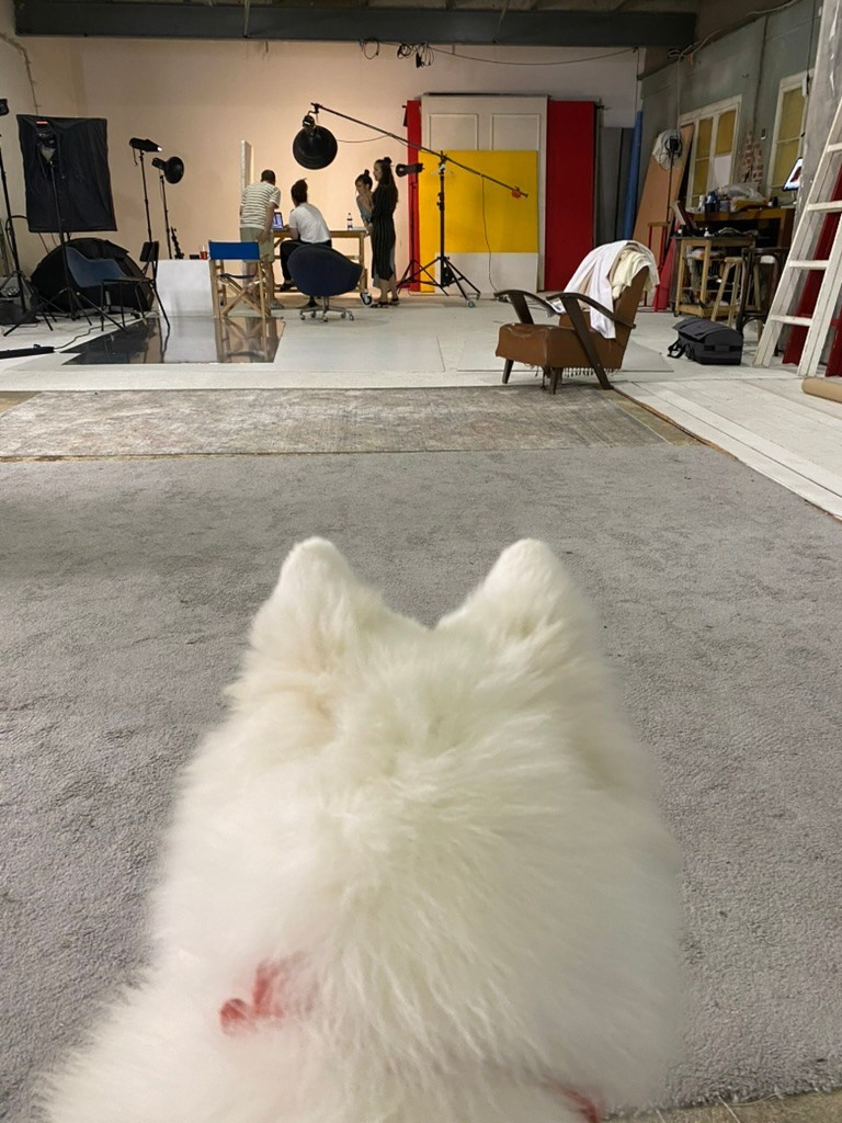 Studio Photogenic. Commercial and studio photographer in Belgrade