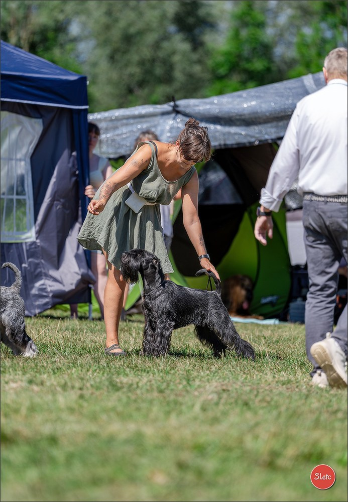 Dog Show - Hallbergmoos 🇩🇪 11-12/07/2026