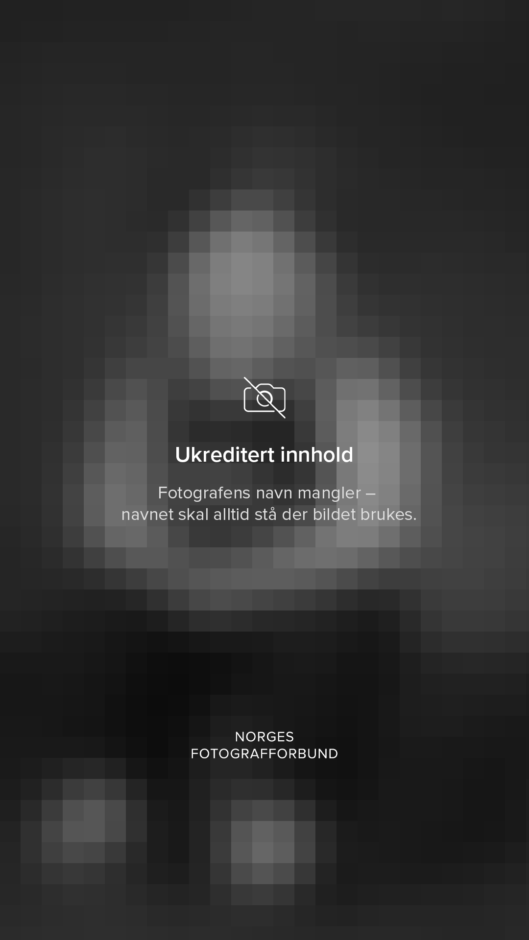 Opphavsrett til fotografier: dette må du vite. Din fotograf i Narvik kommune