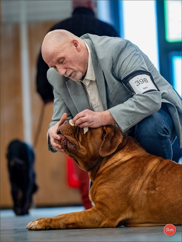 PDS  🇫🇷  Paris Dog Show  🇫🇷  Expo canine  10-11/01/2026. Photographe à Strasbourg | Portraits, Studio, Enfants, Événements