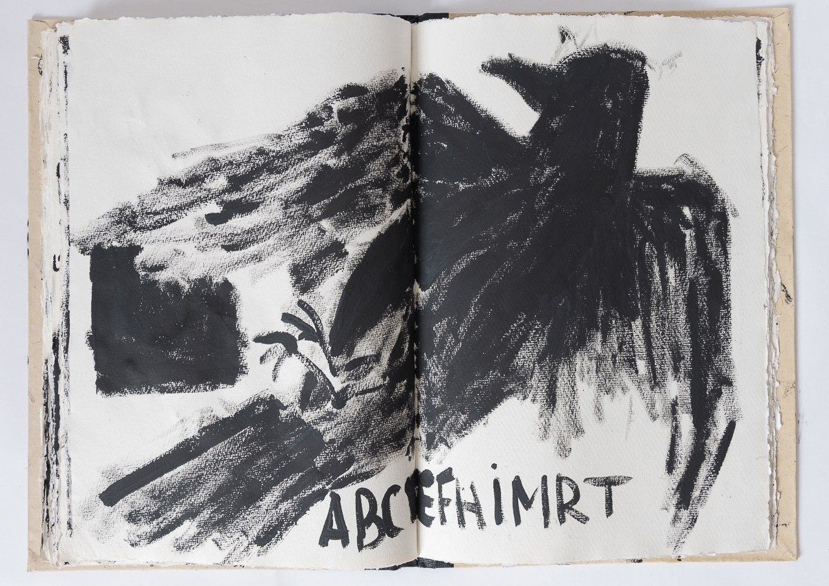 Rebelion, 2018. Haim Sokol’s artists website