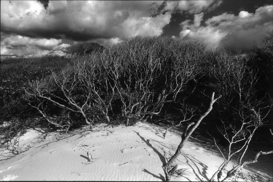 Sacra Natura. Katerina Kiper Photography