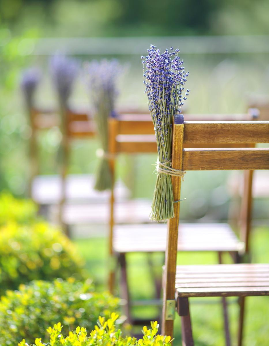 France. Provance. Luxury wedding, portrait, family photographer over Europe