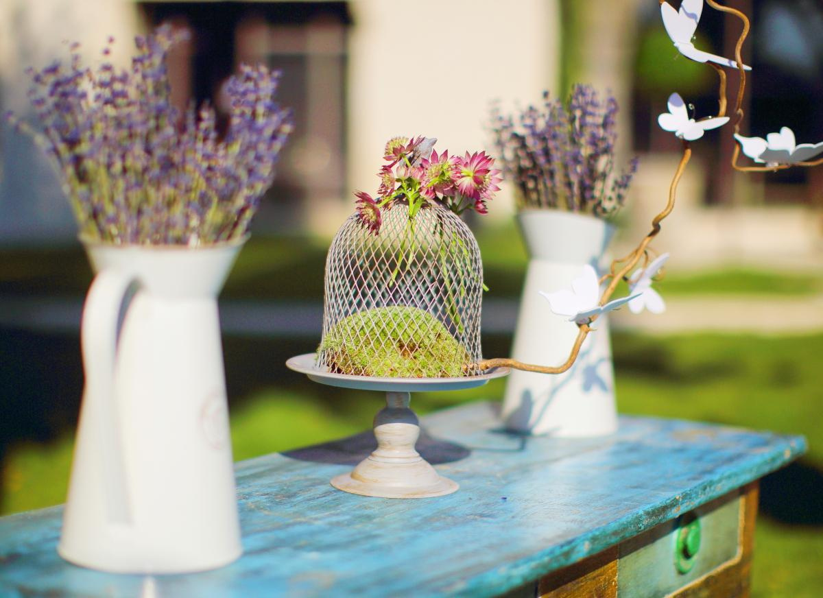 France. Provance. Luxury wedding, portrait, family photographer over Europe