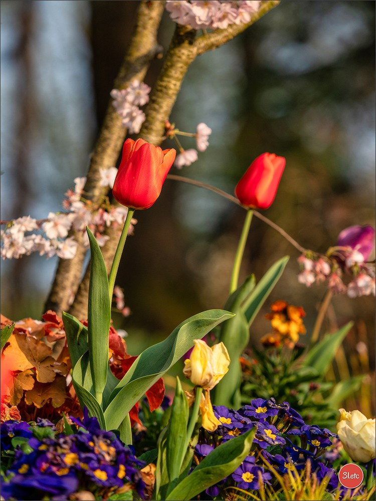 Angers  🇫🇷. Photographe à Strasbourg | Portraits, Studio, Enfants, Événements