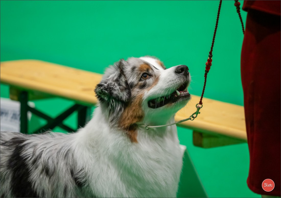 🇳🇱 IDS Maastricht 27/28 Sept 2025 🇳🇱. Photographe à Strasbourg | Portraits, Studio, Enfants, Événements