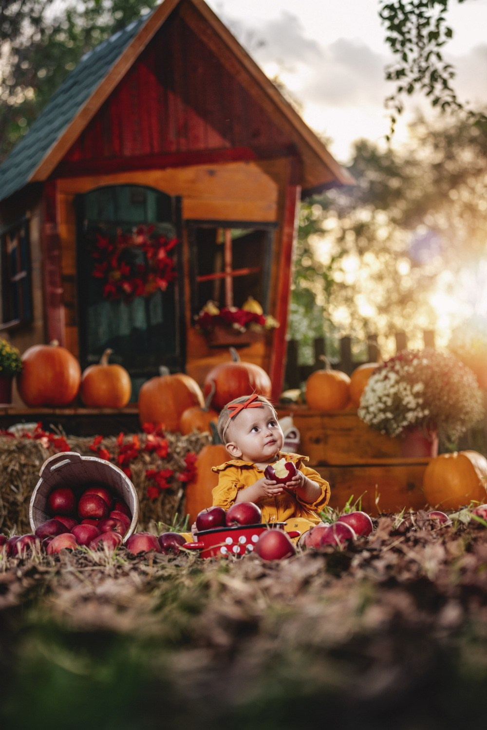 JESENJE FOTOGRAFISANJE. Fotografi iz Backog Petrovca David i Andrea Stojanovic