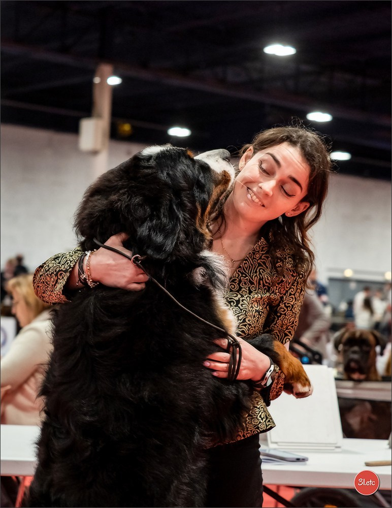 Expo canine  🇫🇷  Angers  22-23/03/2025. Photographe à Strasbourg | Portraits, Studio, Enfants, Événements