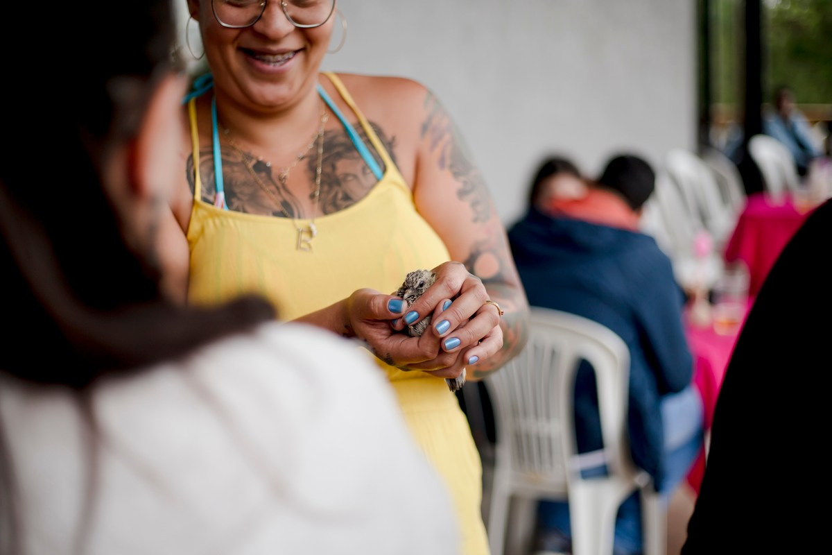 Izzie - 6º aniversário. Fotógrafa de Eventos em São Paulo e Sorocaba Kika Damasceno