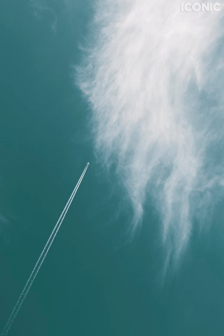 Publications. OLGA REPTIK