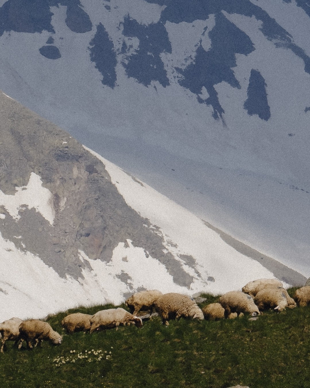 Cross Pass (Gudauri). Фотограф в горах Грузии | Казбеги и Гудаури