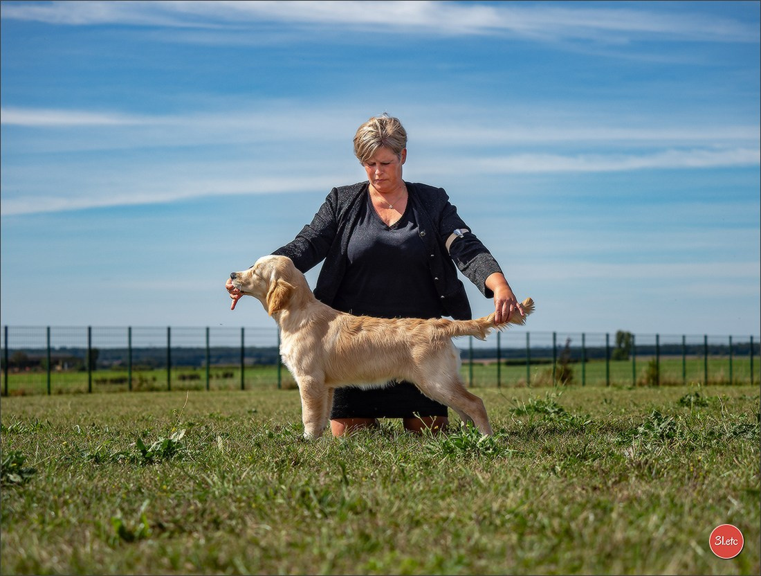 Expo canine 🇫🇷 MARGNY LES COMPIEGNE 06-07/09/2025. Photographe à Strasbourg | Portraits, Studio, Enfants, Événements
