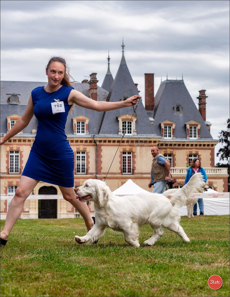 Expo canine Chartres  🇫🇷  15/06/2025. Photographe à Strasbourg | Portraits, Studio, Enfants, Événements