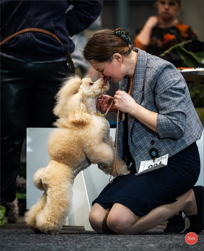 Photographie animalière. Photographe à Strasbourg | Portraits, Studio, Enfants, Événements