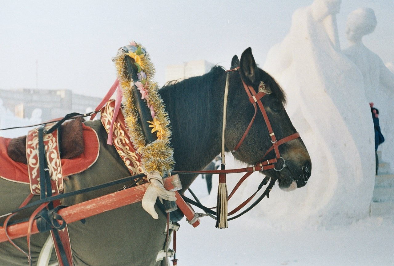 Ochyor (Perm region, Russia) 2013. Elena Zykova film photographer in London