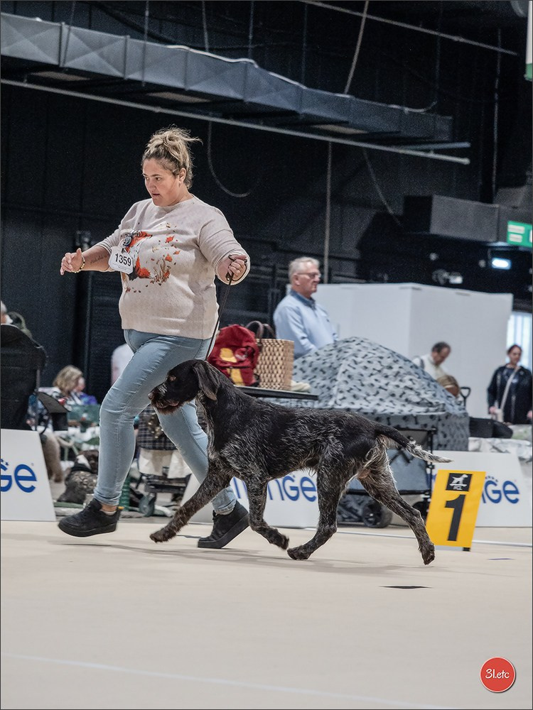 🇱🇺 LUXEMBOURG 🇱🇺 International Dog Show 🇱🇺 30/08 - 31/08/2025. Photographe à Strasbourg | Portraits, Studio, Enfants, Événements