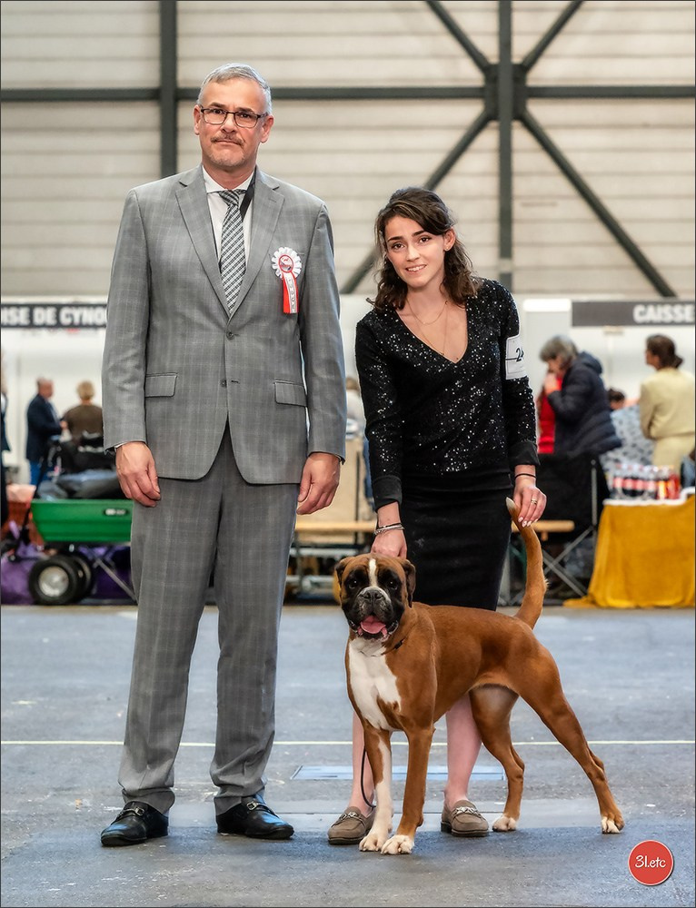 🇨🇭 Geneva Dog Show 15-17/11/2024. Photographe à Strasbourg | Portraits, Studio, Enfants, Événements