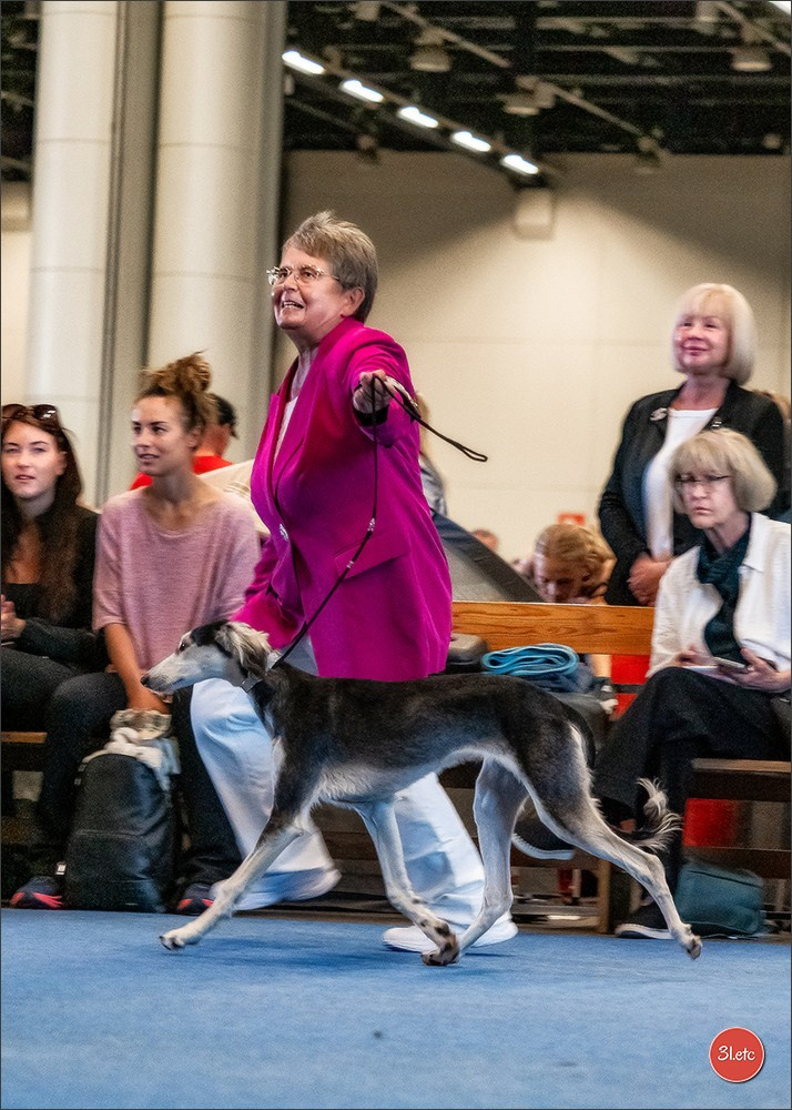 🇫🇮 WDS Helsinki 2025 🇫🇮. Photographe à Strasbourg | Portraits, Studio, Enfants, Événements