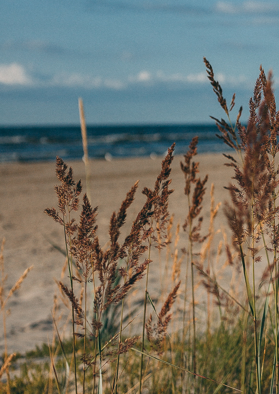 Mammas un meitas mīlestības fotostāsts pie jūras Jūrmalā. Fotogrāfs Rīgā — Katerina Gordik