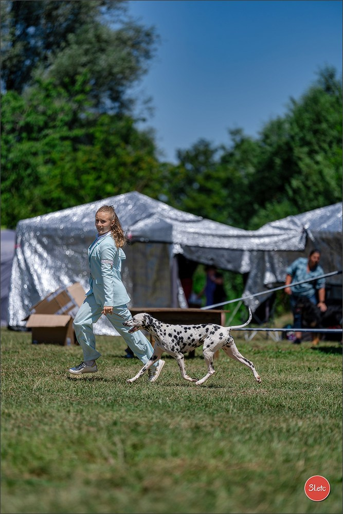 Dog Show - Hallbergmoos 🇩🇪 11-12/07/2026