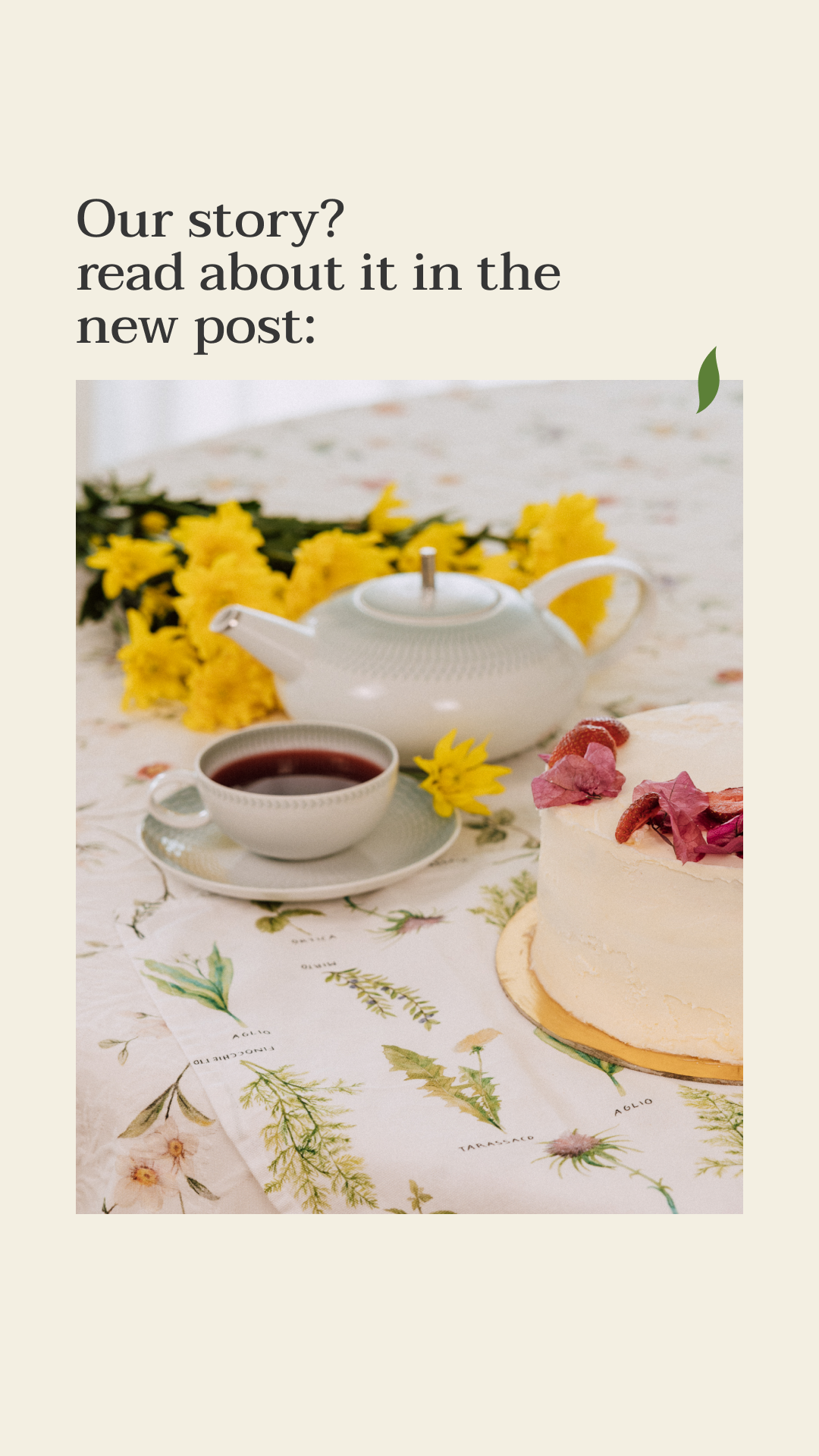 [Branding] — Tea Boutique. Tim Katerinko — Visual Storytelling for Brands, Culture & Events