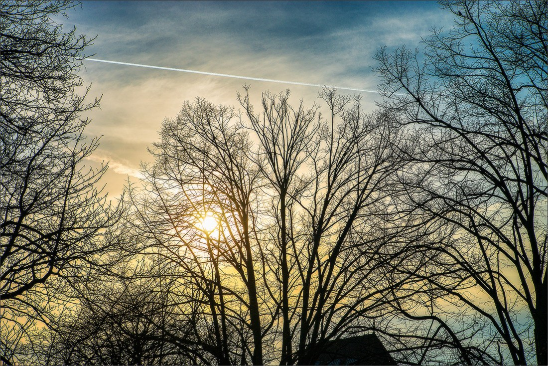 Paris 08/03/2025. Photographe à Strasbourg | Portraits, Studio, Enfants, Événements