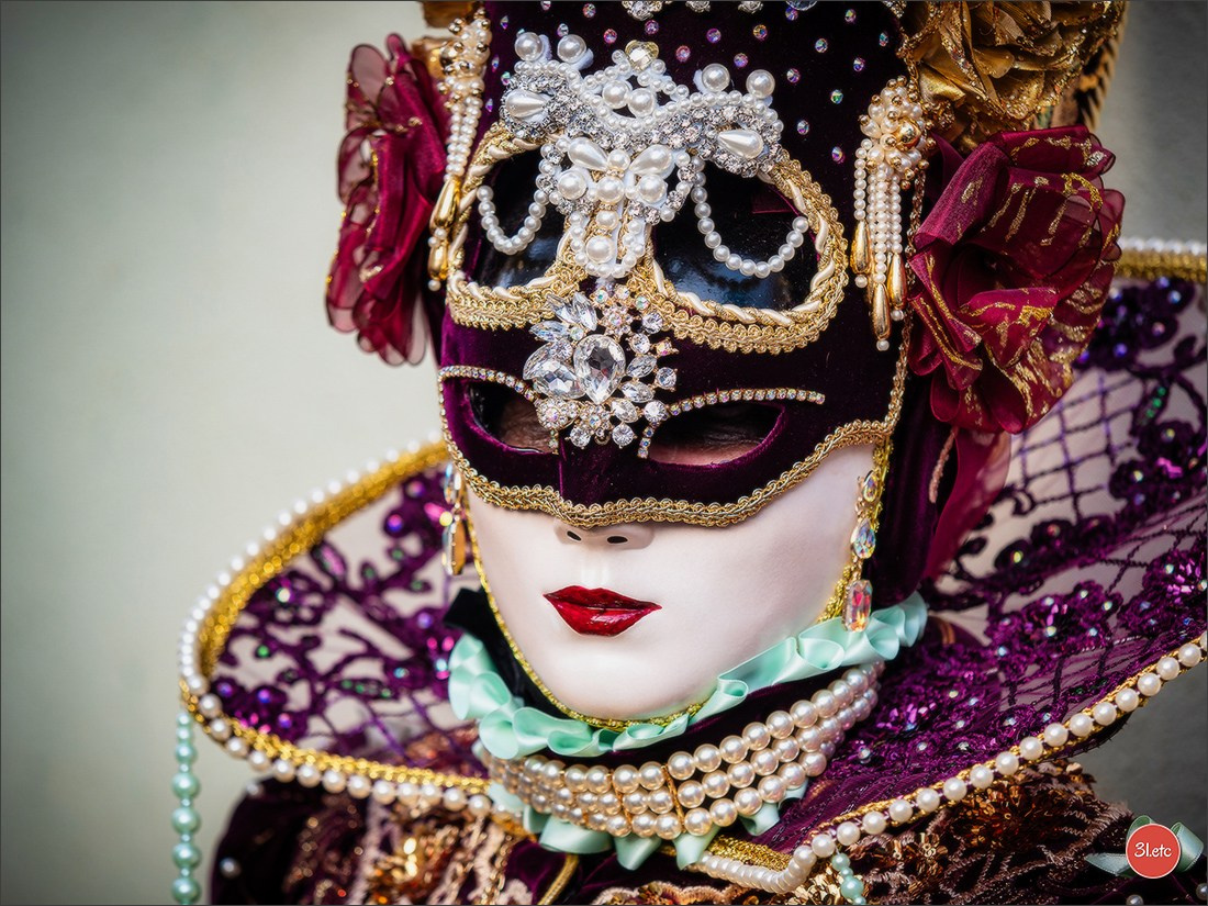 Carnaval vénitien de Rosheim 2026. Photographe à Strasbourg | Portraits, Studio, Enfants, Événements