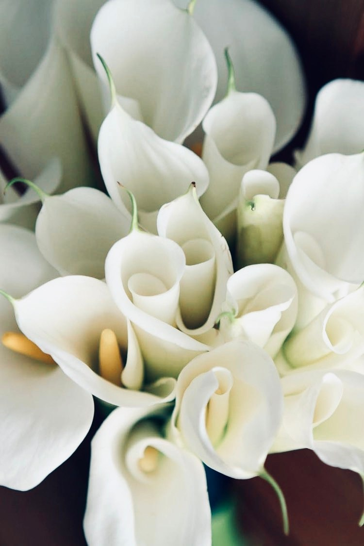 Christina & Paiman Wedding Day (Royal Hotel — Peraia). Φωτογράφος Αναστάσιος Πιξόπουλος