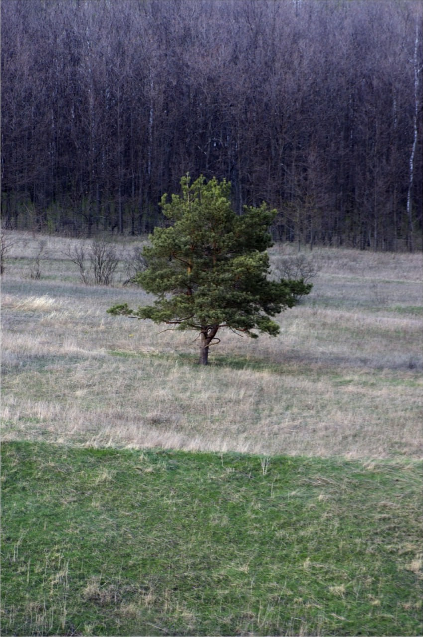 Вадим Шейдин. Photopolygon Mag